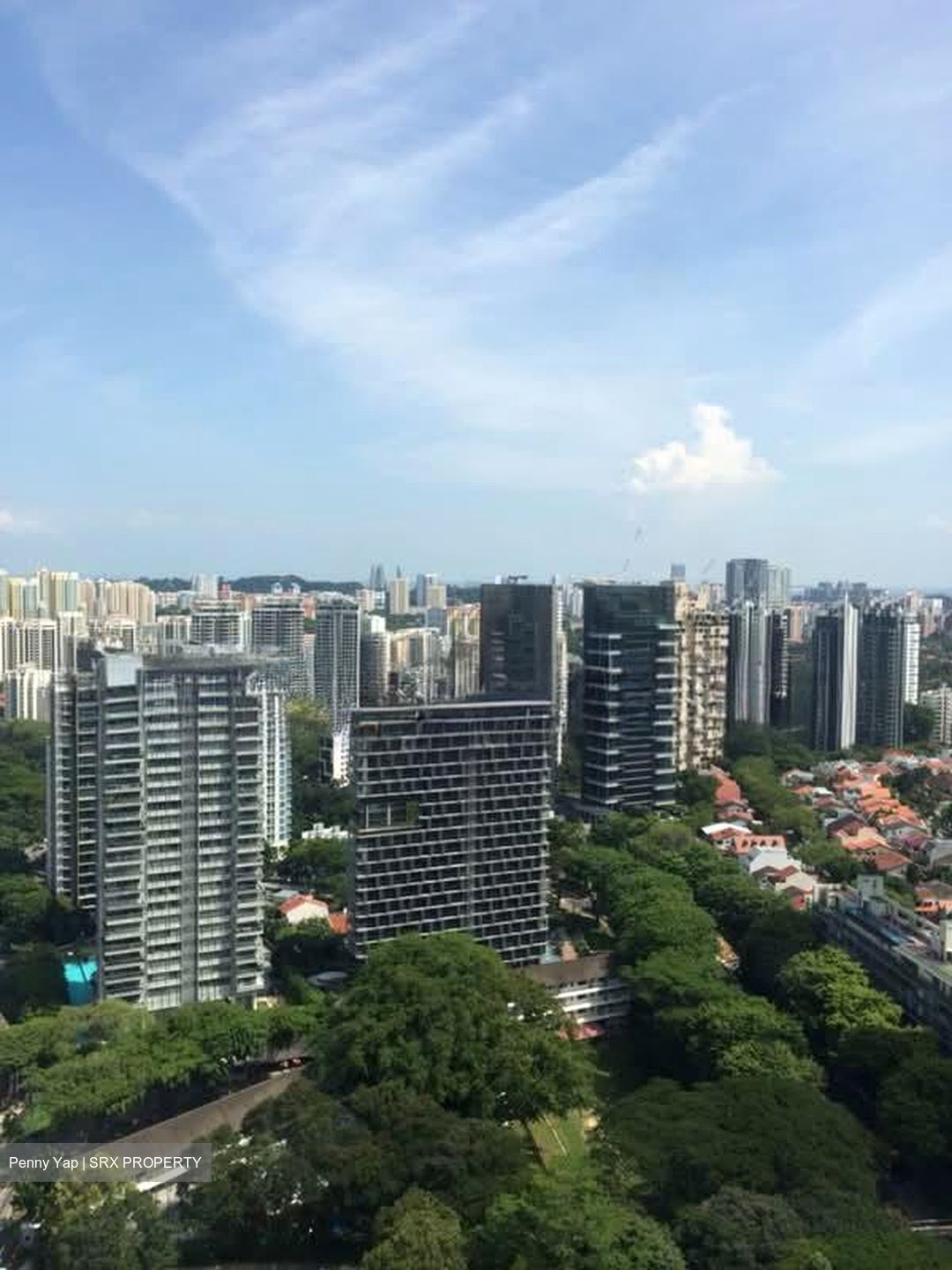 The Orchard Residences (D9), Apartment #580699861